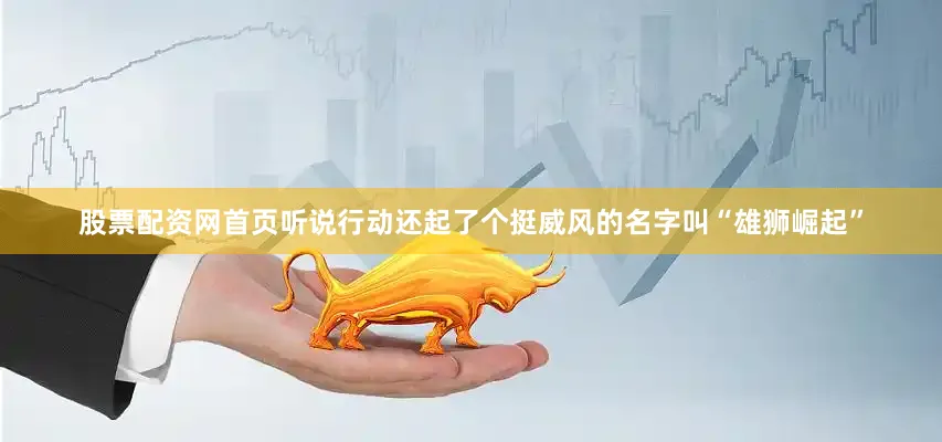 股票配资网首页听说行动还起了个挺威风的名字叫“雄狮崛起”