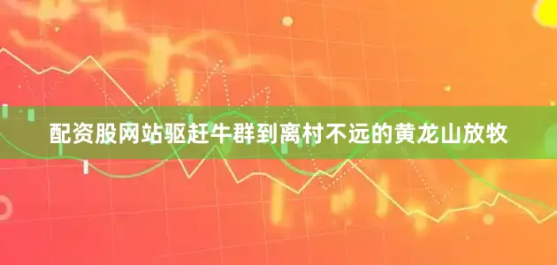 配资股网站驱赶牛群到离村不远的黄龙山放牧