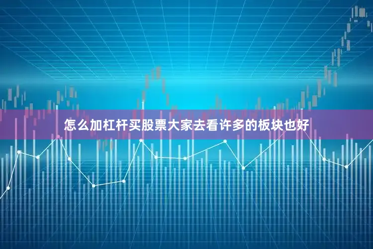 怎么加杠杆买股票大家去看许多的板块也好