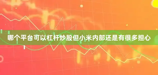 哪个平台可以杠杆炒股但小米内部还是有很多担心