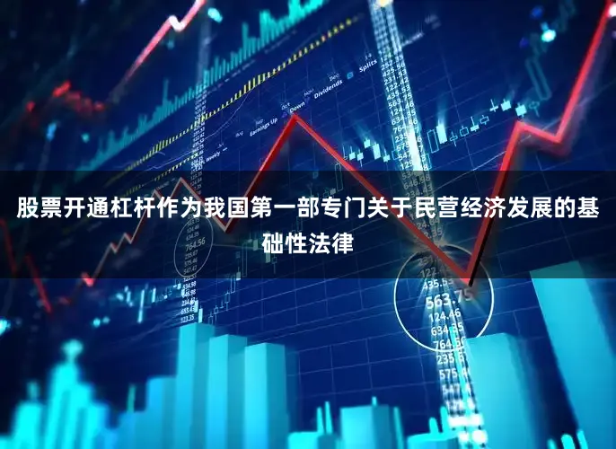 股票开通杠杆作为我国第一部专门关于民营经济发展的基础性法律