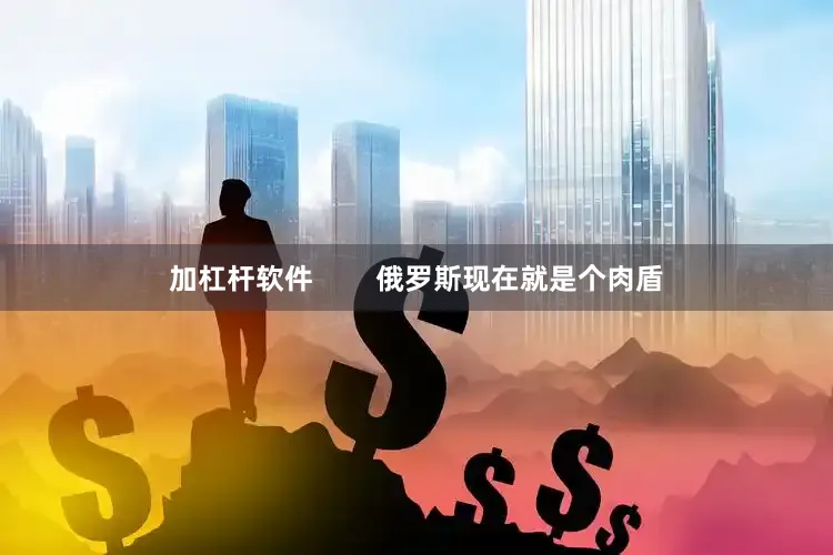 加杠杆软件        俄罗斯现在就是个肉盾