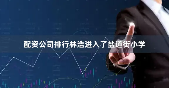配资公司排行林浩进入了盐道街小学