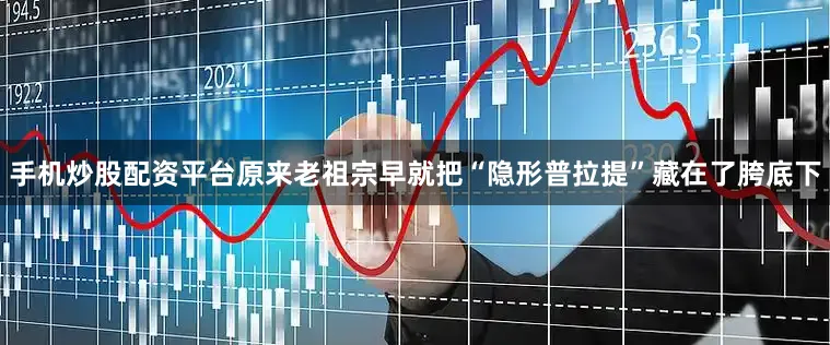 手机炒股配资平台原来老祖宗早就把“隐形普拉提”藏在了胯底下